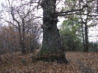 nte Fontane-201011107 074